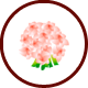 ѿ  Ǯ